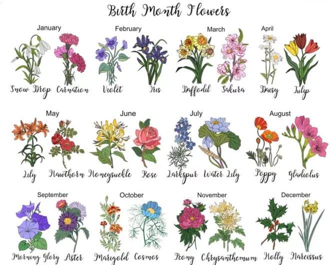 Birth Month Flower Magnetic Bookmark – Laminated Matte, Happy Birthday Bookmark