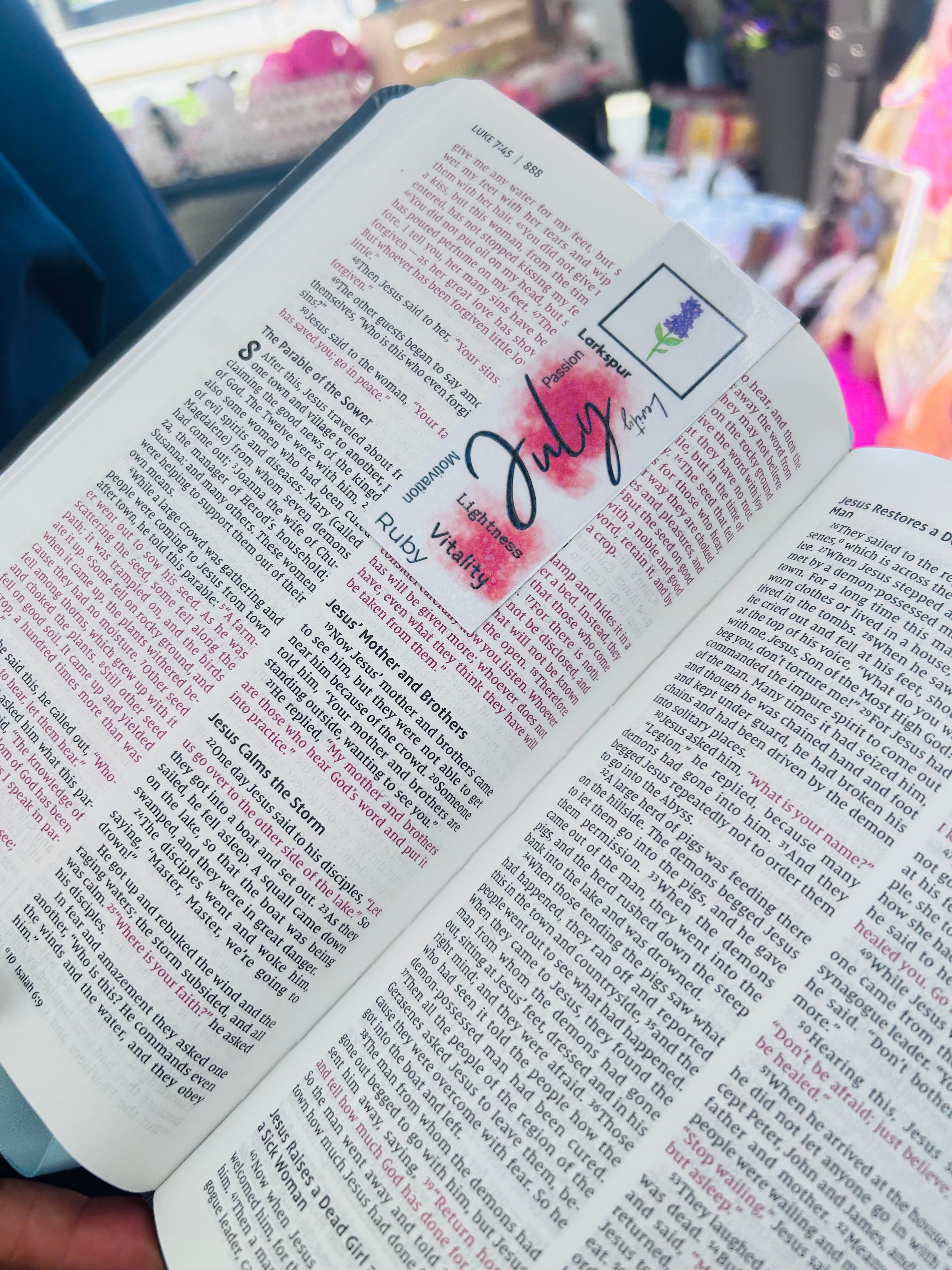 Birth Month Flower Magnetic Bookmark – Laminated Matte, Happy Birthday Bookmark